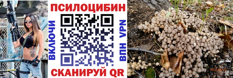 магазин продажи наркотиков  Сорочинск  гидра ONION  Псилоцибиновые грибы Cubensis 